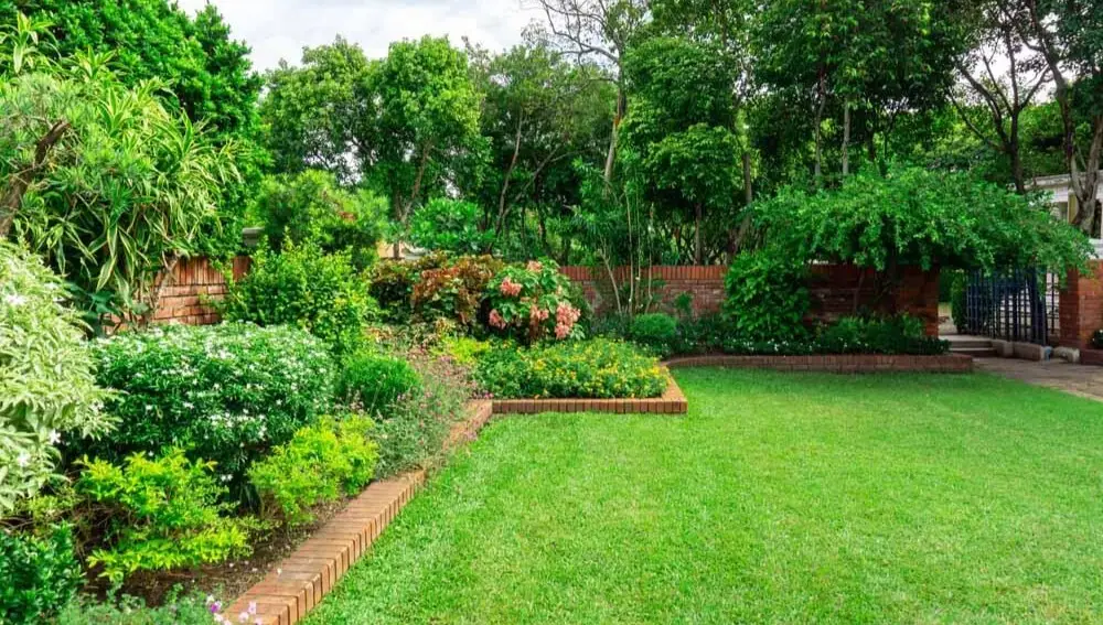 AdobeStock_311131454