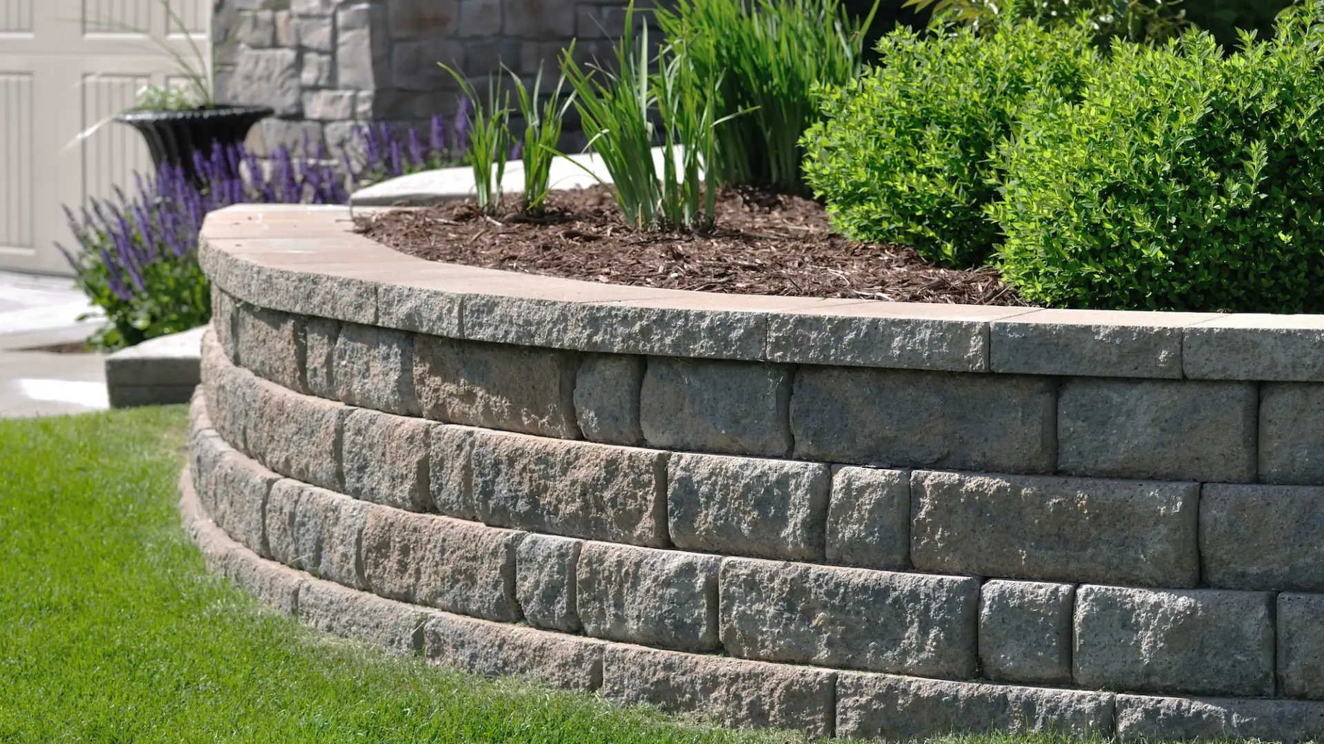 Untitled design – 2025-12-17T133028.860 Untitled design - 2025-12-17T133028.860