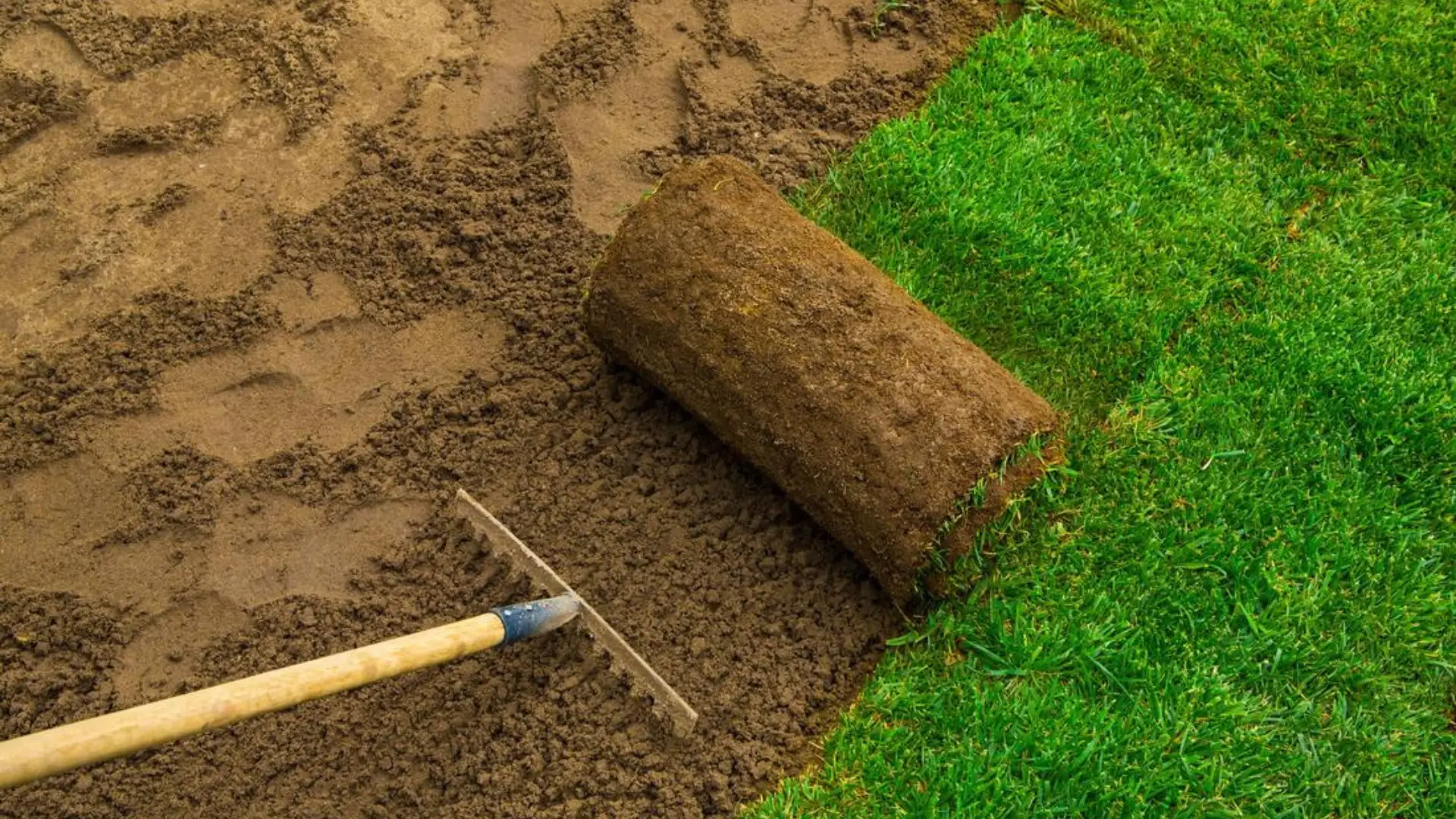 Untitled design - 2025-12-17T133317.178