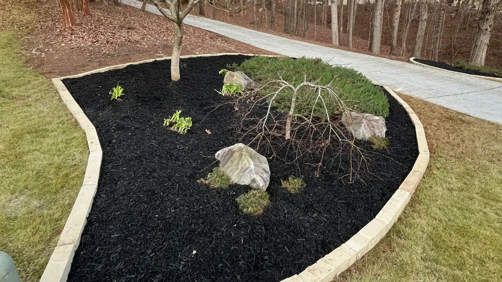 A professionally planned residential backyard featuring a lush garden design with ornamental plants and stone pathways