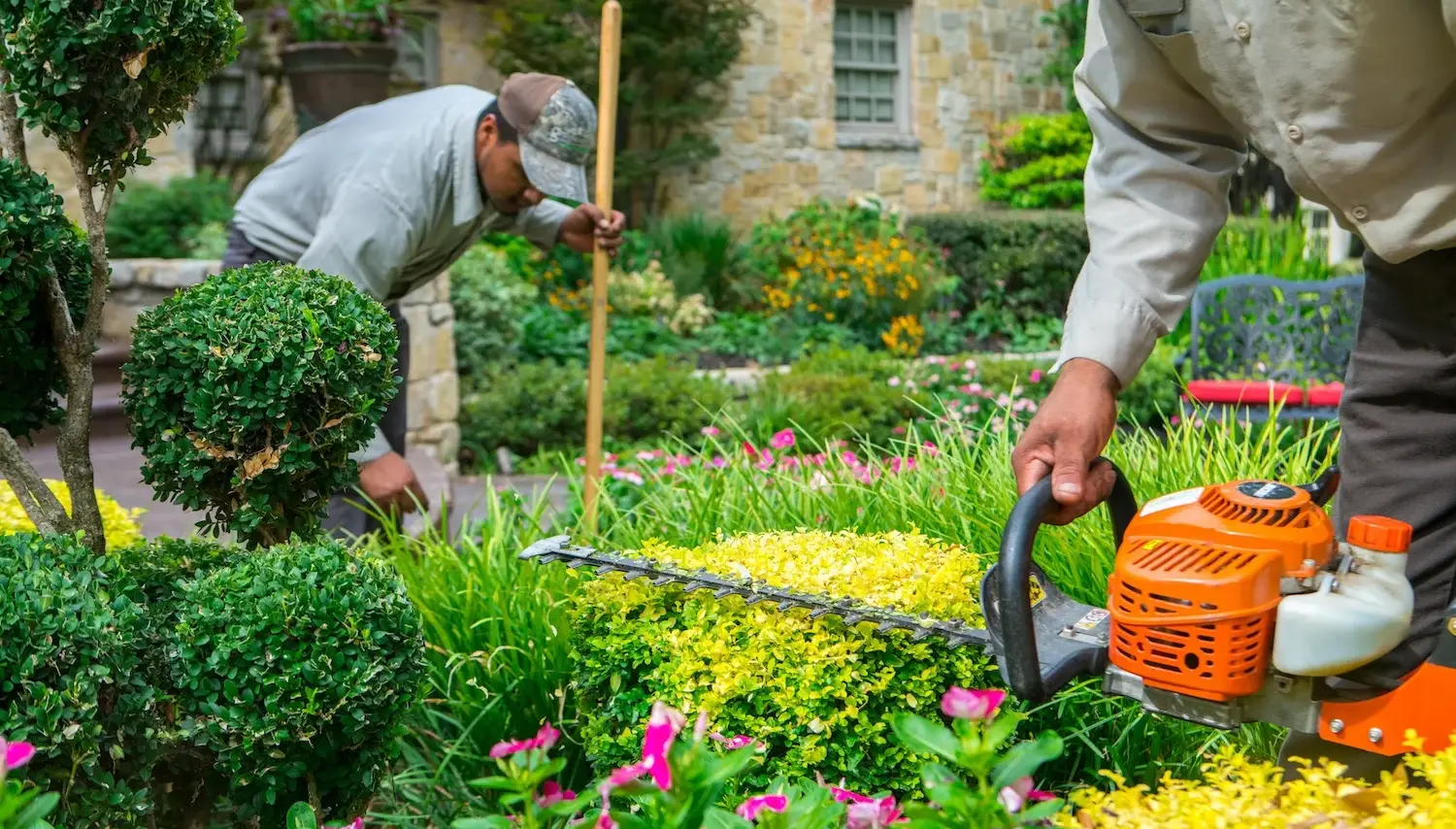 grassperson-crew-bush-shrub-flowers-trimming-maintenance-5 (2) grassperson-crew-bush-shrub-flowers-trimming-maintenance-5 (2)