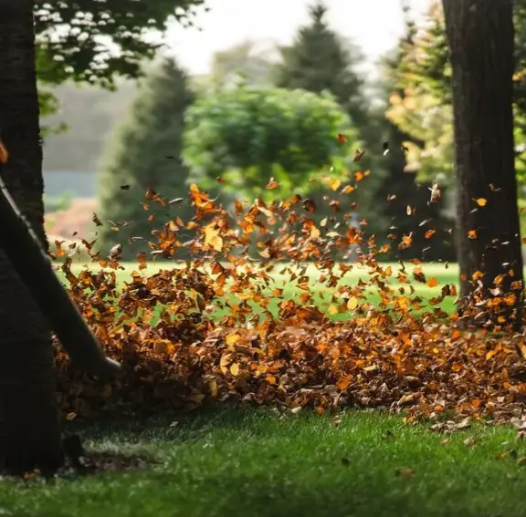 seasonal_yard_cleanup A comprehensive seasonal yard cleanup in progress, featuring debris removal, shrub pruning, and crisp lawn edging for a polished curb appeal.